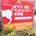 オリーブ　アイコン