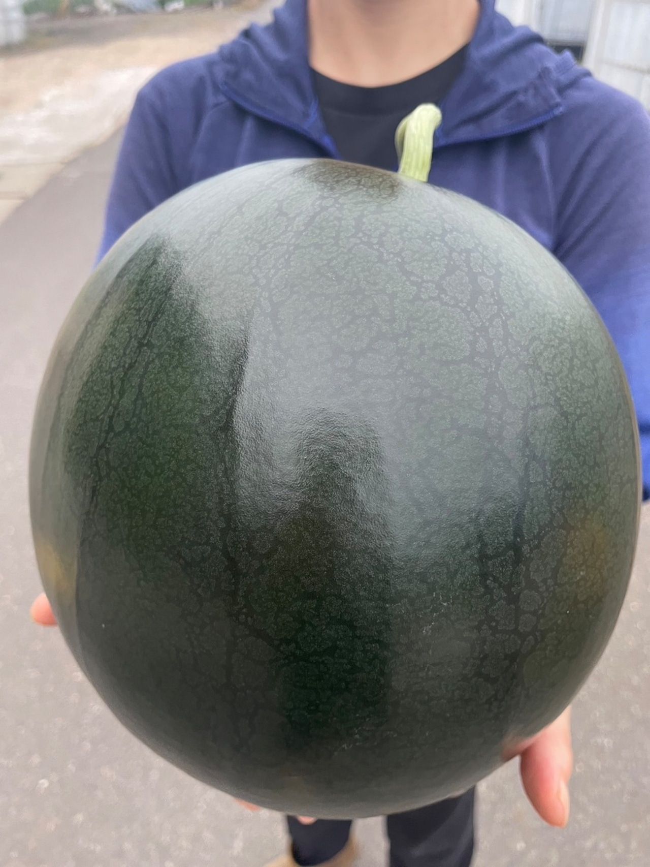 ふくの喜　げん喜玉すいか